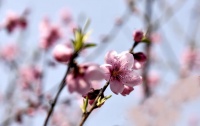 君汇·活力城 | 愿给你一个家,可以种树看花