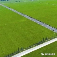 今年商丘市拟建26个高标准农田建设项目,有你老家吗?