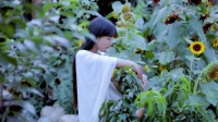 “李子柒” 的理想诗意生活,离我们有多远?
