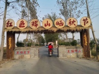 恭喜!亳州这五个村庄上榜“省示范”