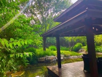 为美好而来—聆听鸟鸣,感受微风