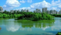 住在公园里 这就是我想要的生活