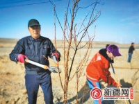 乌鲁木齐达坂城区今春将增绿500亩