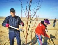 达坂城区今春将增绿500亩