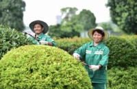 满城美景,处处春意,武汉龙湖守护业主生活每一处