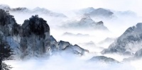 前进小叶紫檀红木艺术丨超凡于世,淡泊从容