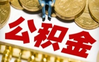 同比增长346.14%!去年中山公积金贷款发放58.96亿元