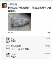“杭州生态真好,马路上竟有小鹿散步!”今天这幕刷屏,真相是…