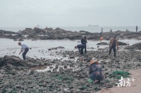 疫情大考:惠东滨海旅游停摆后如何重启?