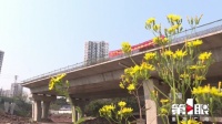 嘉华大桥南延伸段复工 主体工程量已完成75%