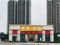 话题讨论:现在拿不到房子流的泪,是我当初买大合华府脑子进的水