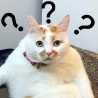 囤粮?出门?两个重要提醒来了!