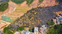狮卧山火烧迹地要复绿啦!梧州将对约36个节点开展绿化提质行动