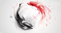 家居风水的“阴阳平衡”,有钱人早就在做了
