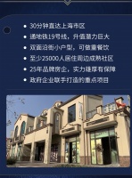 上海东方渔港商业街可重餐饮沿街商铺重磅来袭