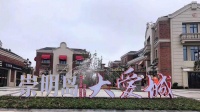 选择崇明岛大爱城的其中七大理由