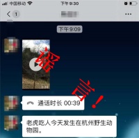 网传杭州野生动物世界老虎吃人?这是谣言!