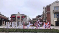 崇明岛交通网(崇明岛大爱城)新