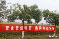 安徽2020年秸秆禁烧政策出炉