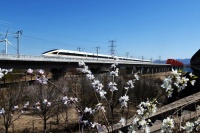 铁路迎来客流小高峰,清明节小长假日均加开旅客列车260余列