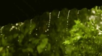 有雨!冷空气逼近,气温下降明显