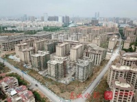 债权人不让仁泽地产破产!部分在建项目或将恢复建设