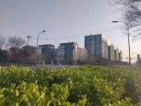 二手房交易中的土地出让金、补全成本价、综合地价款是什么税费?