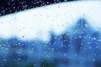 东莞降雨持续,出门记得带伞!回暖要等到……
