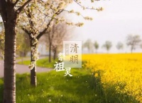 奥园·华府|清明钜惠,礼孝回馈4重好礼!