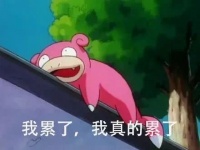 什么是SUV级大三房?进来了解一下