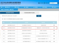 首批拿预售,3个纯新盘, 14000最强火力,就看白沙洲