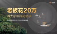 绿地花都国际四期河景豪宅案名征集,全球盛启