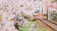 想拥有能“悬浮”在空中的花瓶绿植吗?来获嘉建业城DIY一个吧