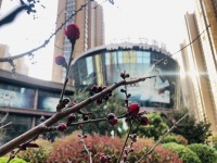 诚城常青藤 | 小空间,大享受!42㎡也能住出高级感