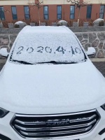 张家口飘起四月雪!