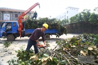 好消息湘潭市城区老旧小区改造正式动工