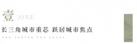 大咖圆桌 | 产业驱动,高端市场亟需填补