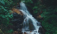 伴山而居,健康同行|这里的负氧离子比市区多800倍!