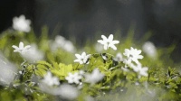 这个周末柳州楼市有点“暖”,春日主题活动温情来袭