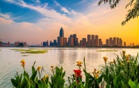 诚意满满!绍兴“人才专列”武汉首发