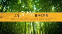 崇明岛“简介.环境.定位.交通现状和崇明岛大爱城”