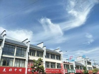 “亳州蓝”颜值爆表,背后暗藏这些秘密!