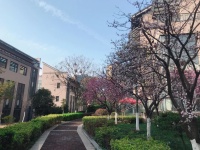西陵云签约:点燃发展新引擎,跑出招商加速度