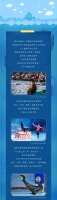 大同吾悦广场|奇幻海洋生物展,萌力海狮君亲密接触