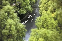 冷空气来了 杭州大风继续吹