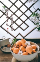 暖春助农枇杷节丨不负周末美好春光