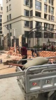 消防通道上砌砖墙?这是弄啥嘞?