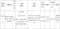 快讯丨通海置业以总价3.85拿下西湖新区31号地块