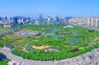 生态盐城添新绿!去冬今春,我市新增8.82万亩成片林!