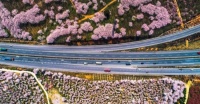 【二期御景佳园】坐着地铁看山海,怎料误入四月“桃花源”